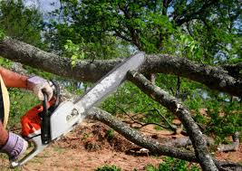 Best Utility Line Clearance  in Abbotsford, WI